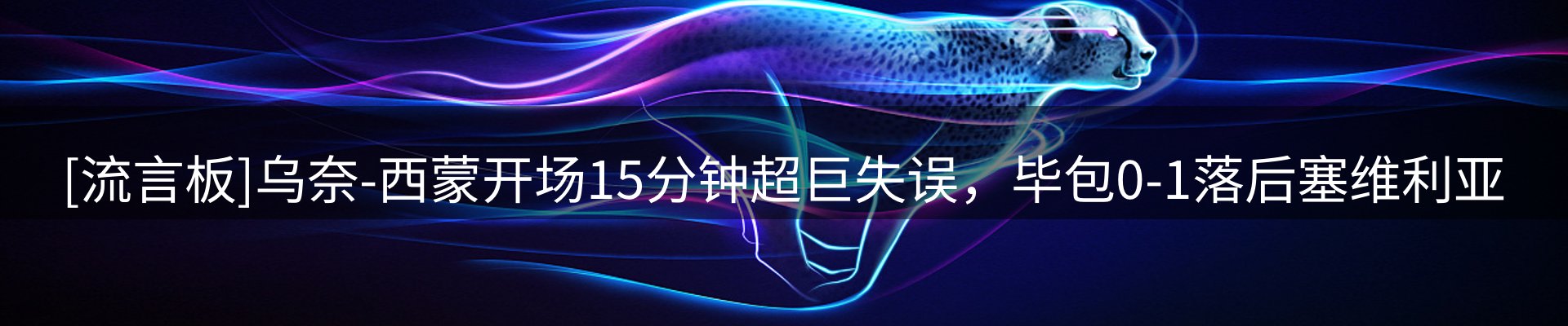 网站资讯